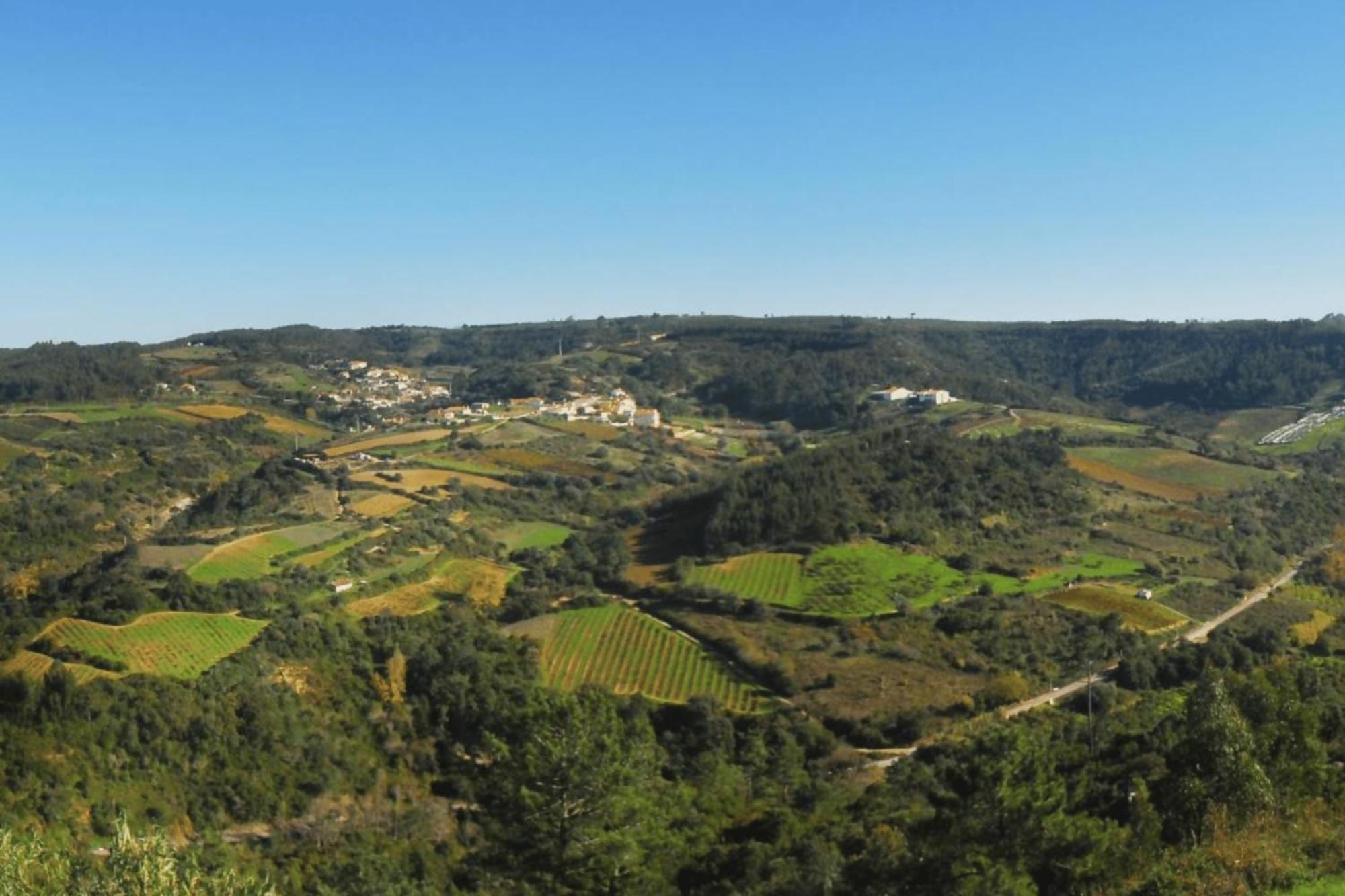 Casas Da Tia Alice - Casas De Campo Encantadoras Em مافرا المظهر الخارجي الصورة